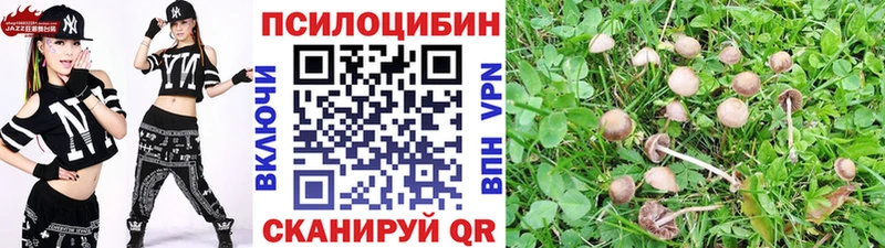 Псилоцибиновые грибы мухоморы  мориарти формула  Боготол 