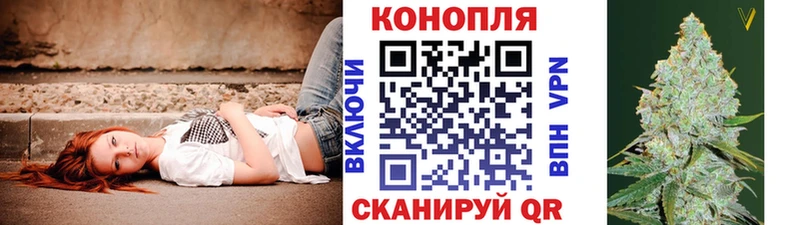 купить наркотик  Боготол  даркнет наркотические препараты  МАРИХУАНА White Widow 